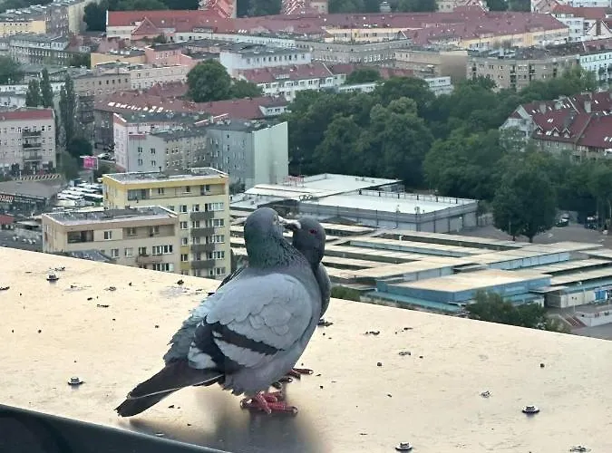 Lägenhet Hanza Tower Home4u